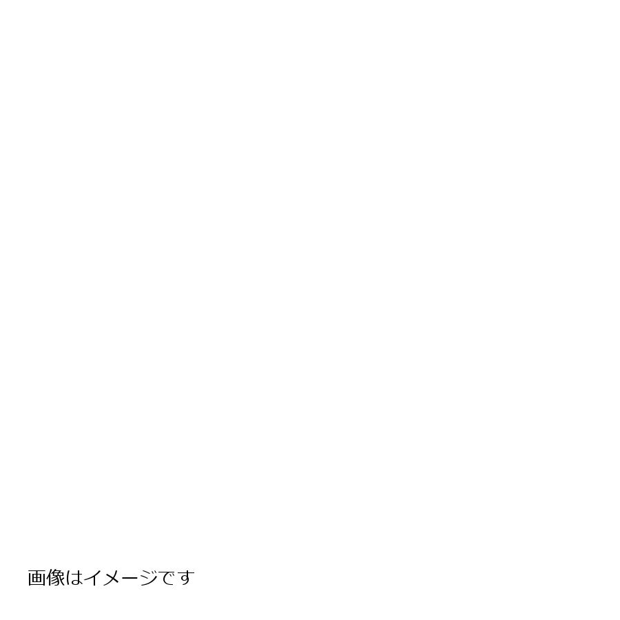 GALE SPEED (ゲイルスピード) フロント ホイール 鍛造ホイール F350-17 グロスブラック TYPE-E Gコ ZX-10R(ABS)