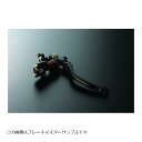 GALE SPEED (ゲイルスピード) エラボレート クラッチマスター REφ19 クランプ タンクステー ブラック ショートレバー仕様 レバーレシオ:19mm(2)