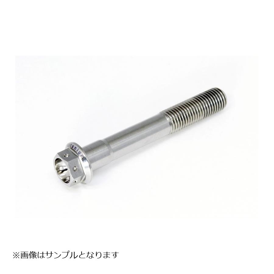 [特価品]ゲイルスピード チタン フランジボルト レーススペック M6x1 55mm SH0610055S