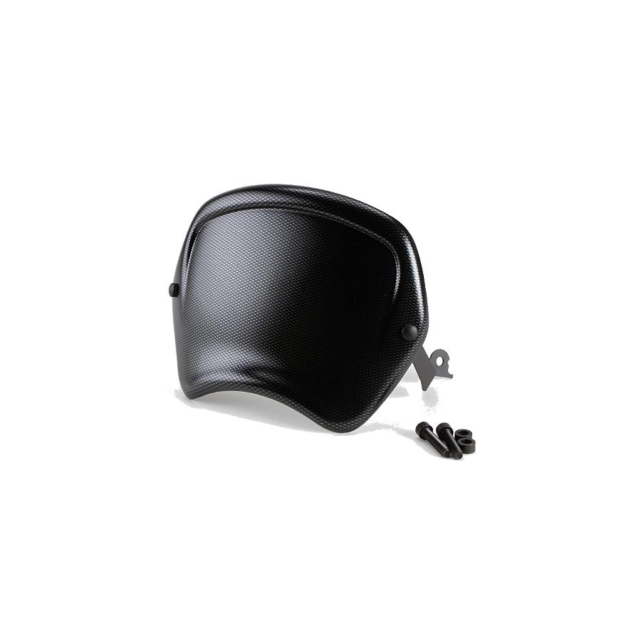 Puig (プーチ) フロントパネル カーボンプリント R nineT 9167C