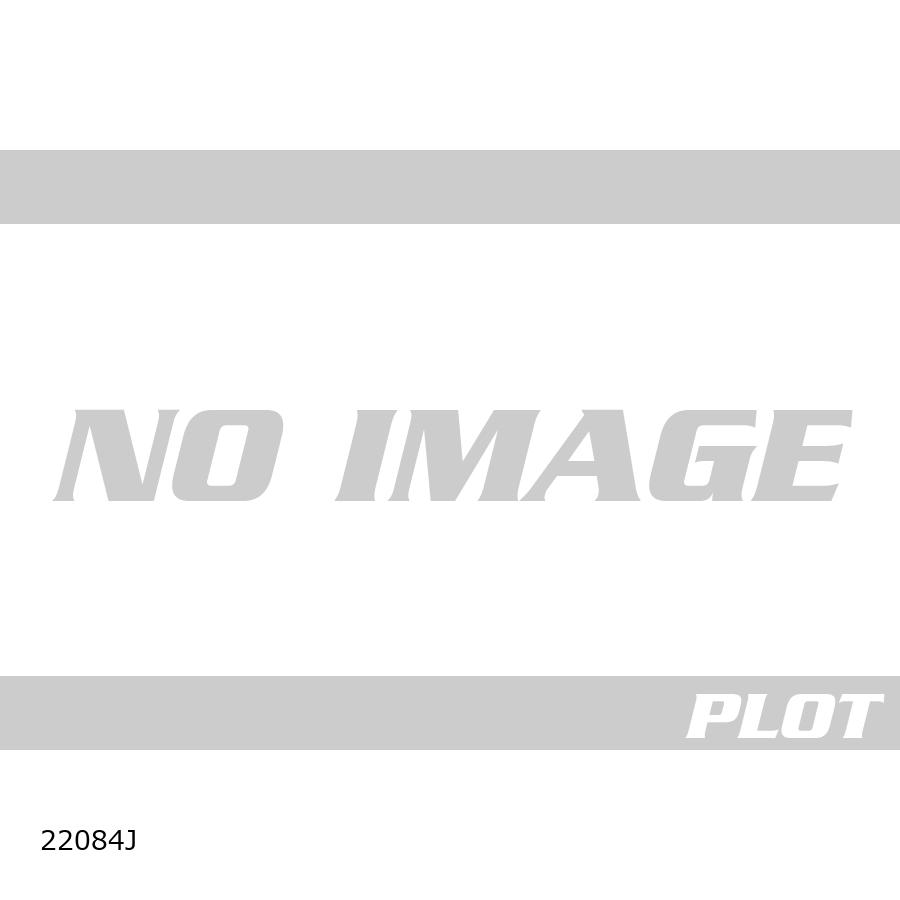 Puig (プーチ) レーシングスクリーン Z-RACING マットブラック DAYTONA 660 22084J