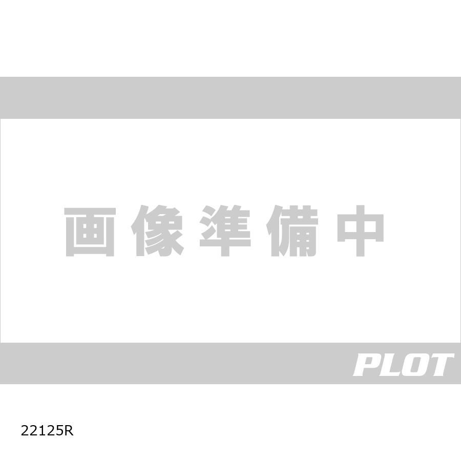 Puig (プーチ) アジャスタブルシフトペダル レッド Z900 22125R