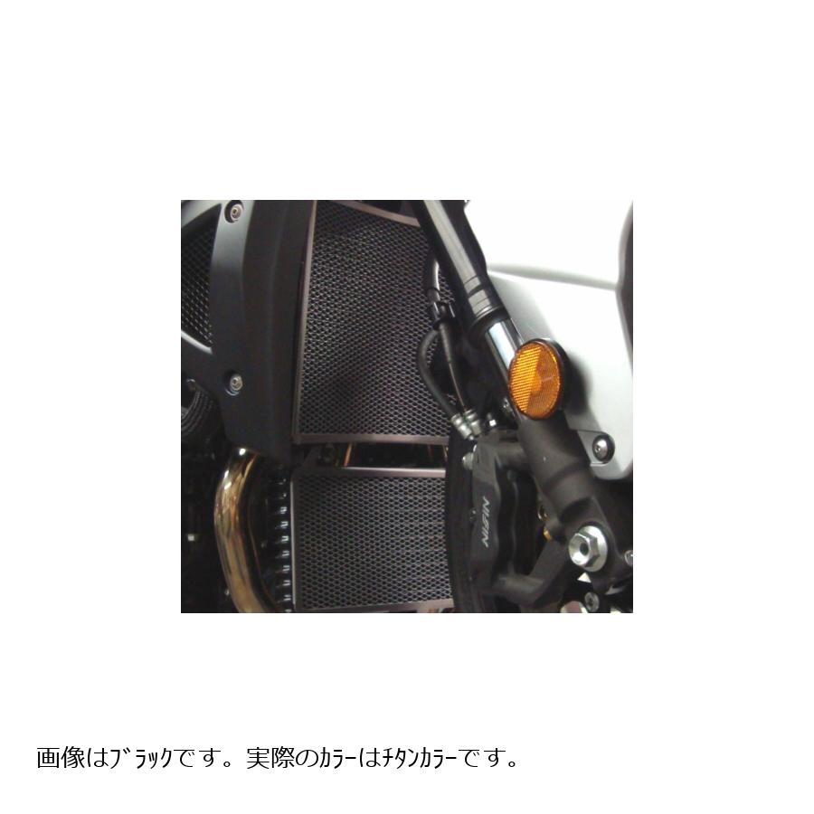 R&G (アールアンドジー) ラジエターガード チタン B-KING [ビーキング] GSX1300R HAYABUSA[ハヤブサ] RG-RAD9014TI