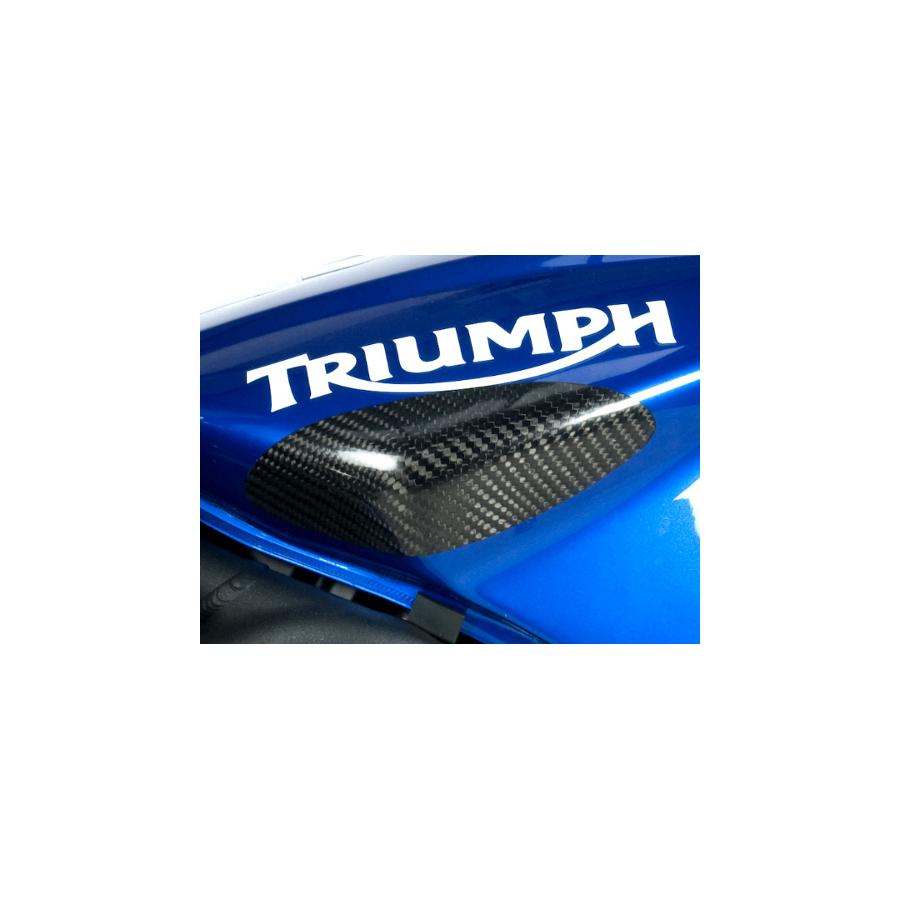 R&G (アールアンドジー) タンクガード スライダー Daytona675