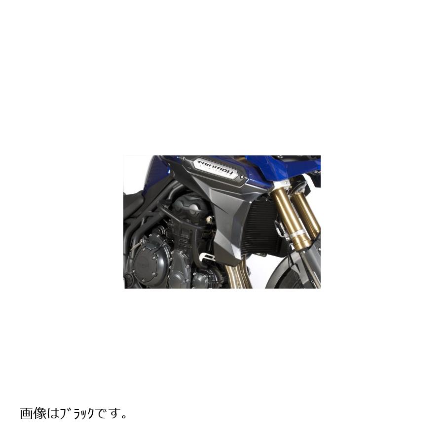 R&G (アールアンドジー) アドベンチャーバー シルバー Tiger1200 Explorer RG-AB0006SI