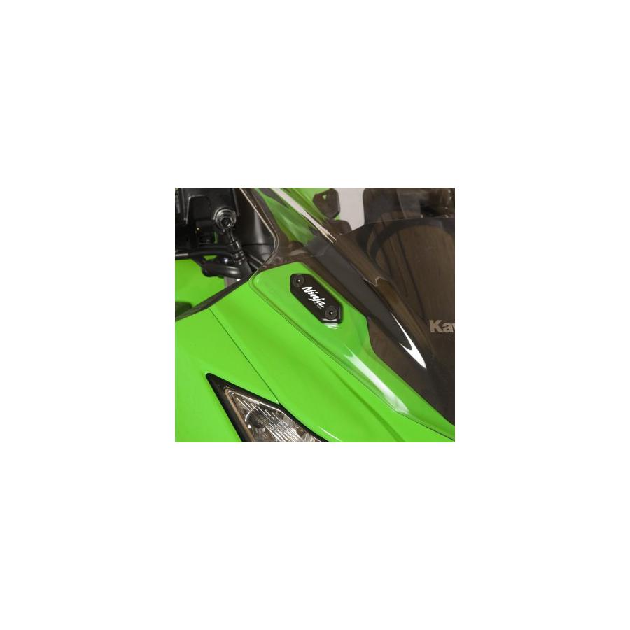 R&G (アールアンドジー) ミラーブランキングプレート アルミニウム ブラック ZX-6R/RR Ninja250 ニンジャ250 [JBK-EX250L] NINJA300 RG-MBP0014BK