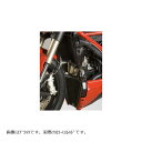 R&G (アールアンドジー) ラジエターガード レッド STREETFIGHTER848 RG-RAD0116RE