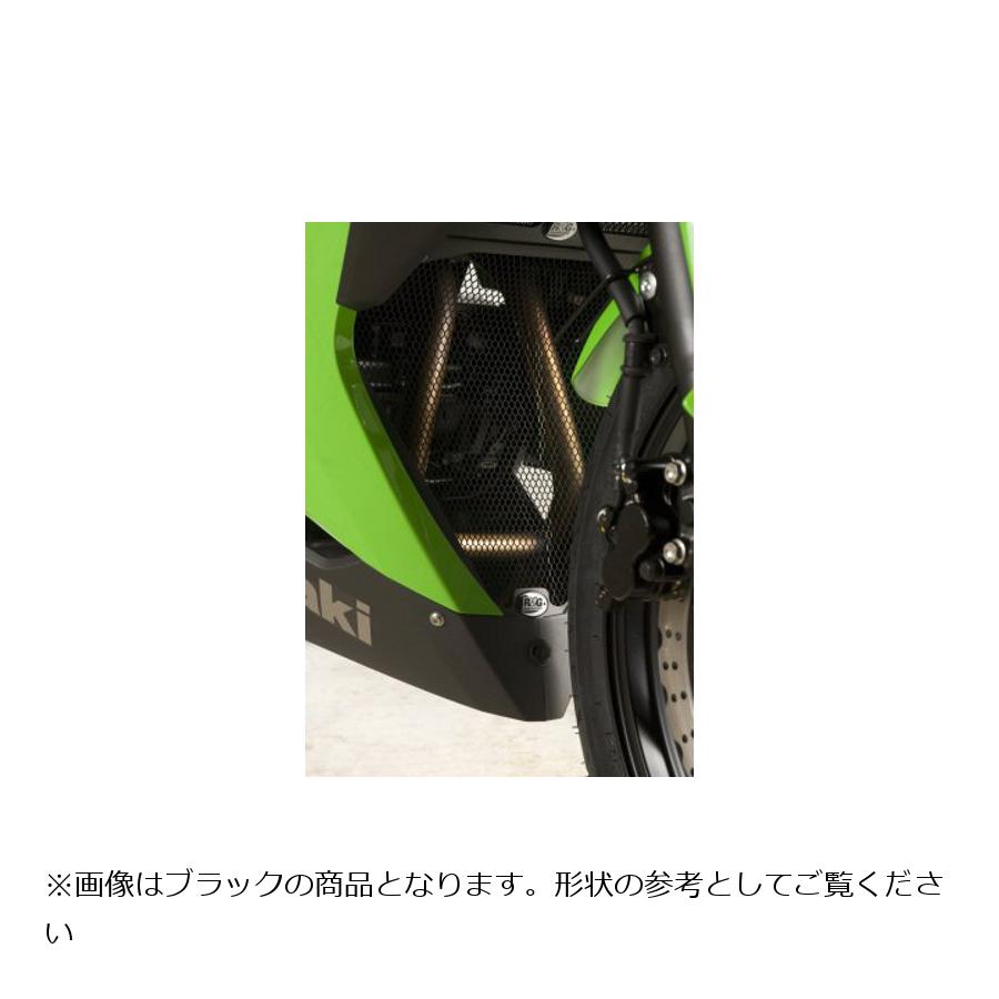 R&G (アールアンドジー) ダウンパイプグリルガード チタンカラー NINJA250 NINJA300 ニンジャ250 ニンジャ300