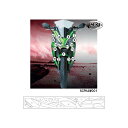 R&G (アールアンドジー) セカンドスキン(高品質ポリウレタン保護フィルム) ER6F Ninja650 ニンジャ650 RG-SCPKAW001(2)