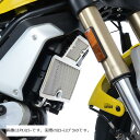 R&G (アールアンドジー) ラジエター オイルクーラーガードセット ブラック DUCATI Scrambler1100 RG-RAD0236BK