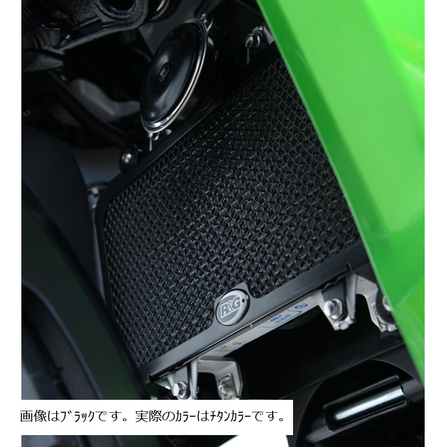 R&G (アールアンドジー) ラジエターガード チタンカラー Versys X-250/300 17-