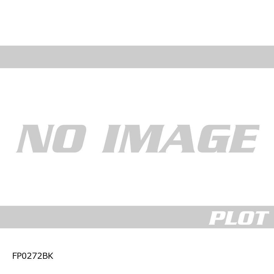 R&G (�����륢��ɥ��� ) Fork Protectors:�֥�å� NT1100 RG-FP0272BK