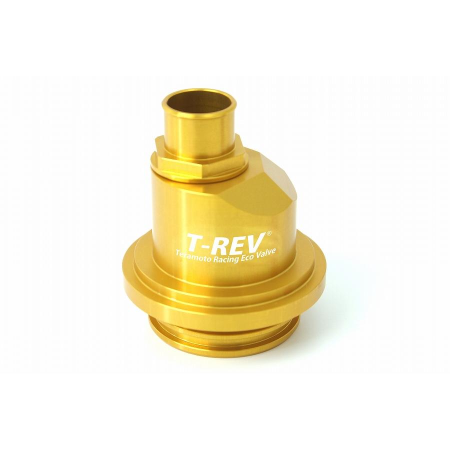 テラモト T-REV 圧入タイプ ドゥカティ専用 φ18 ゴールド 1645
