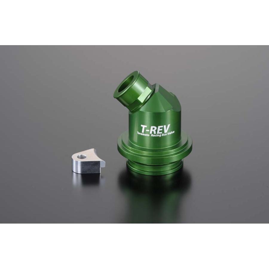 テラモト T-REV 圧入タイプ1 グリーン ドゥカティ 1651