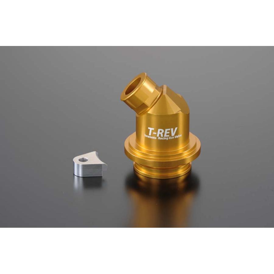 テラモト T-REV 圧入タイプ1 ゴールド ドゥカティ 1655