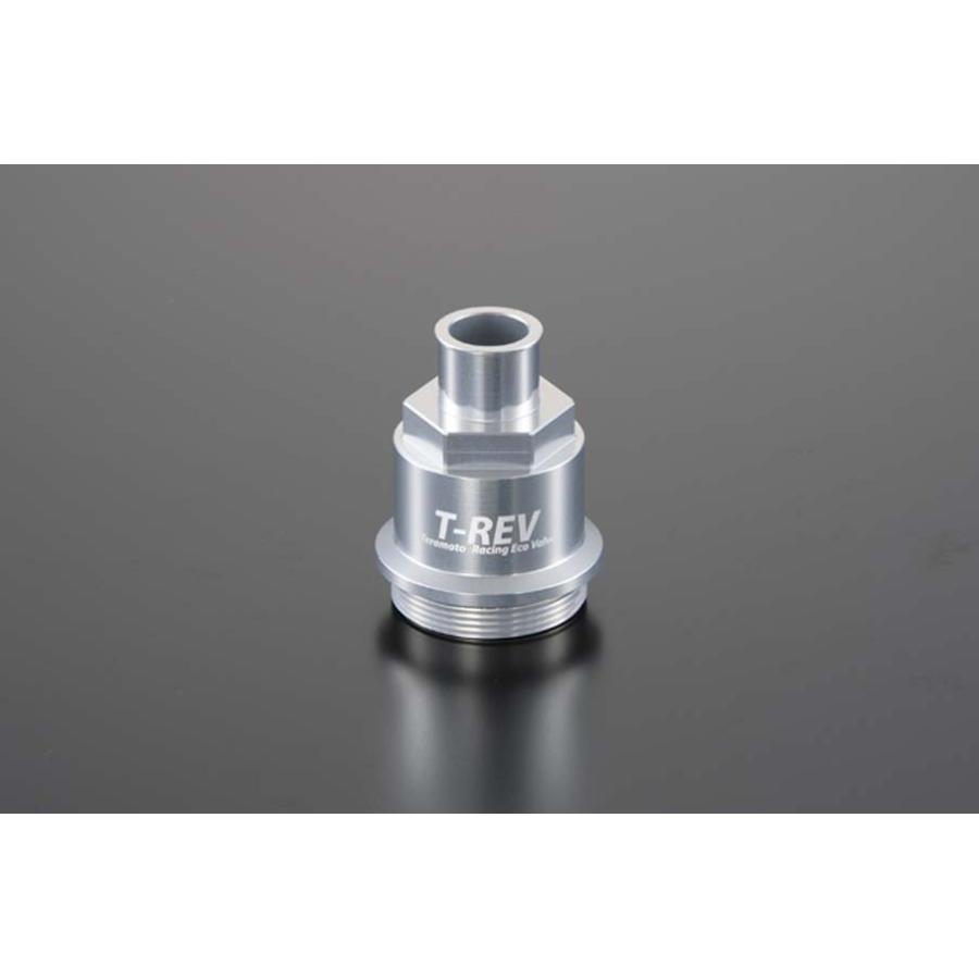 テラモト T-REV ネジ式タイプ シルバー ドゥカティ 1664