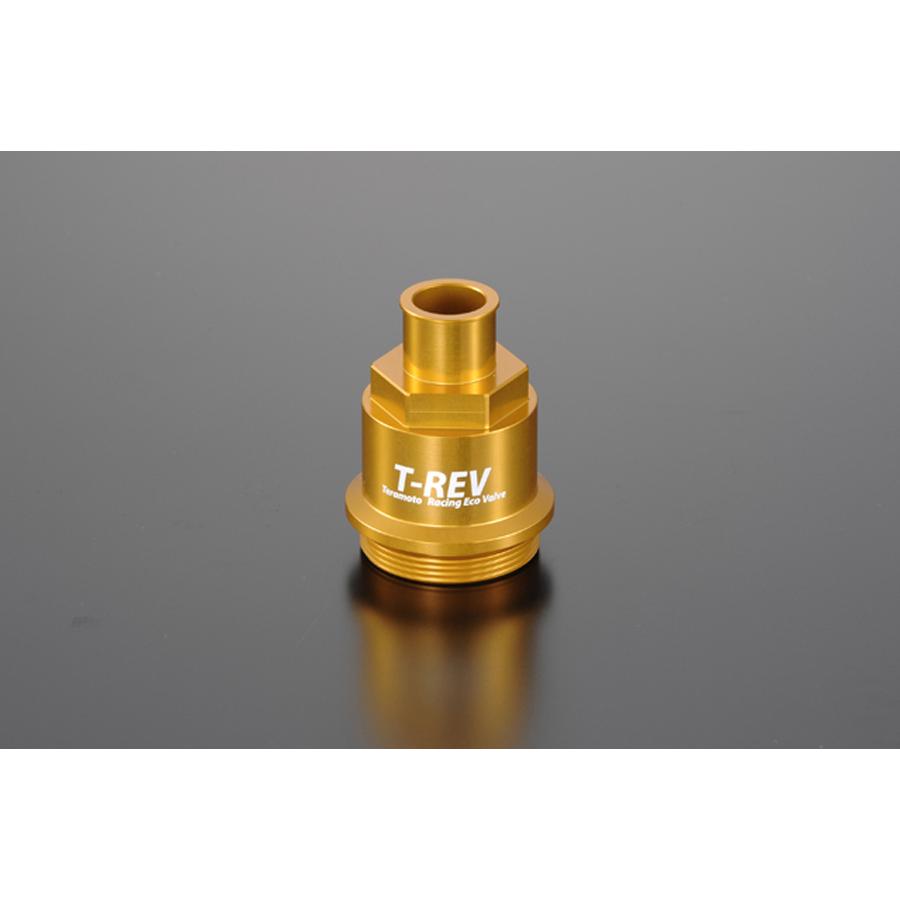 テラモト T-REV ネジ式タイプ ゴールド ドゥカティ 1665