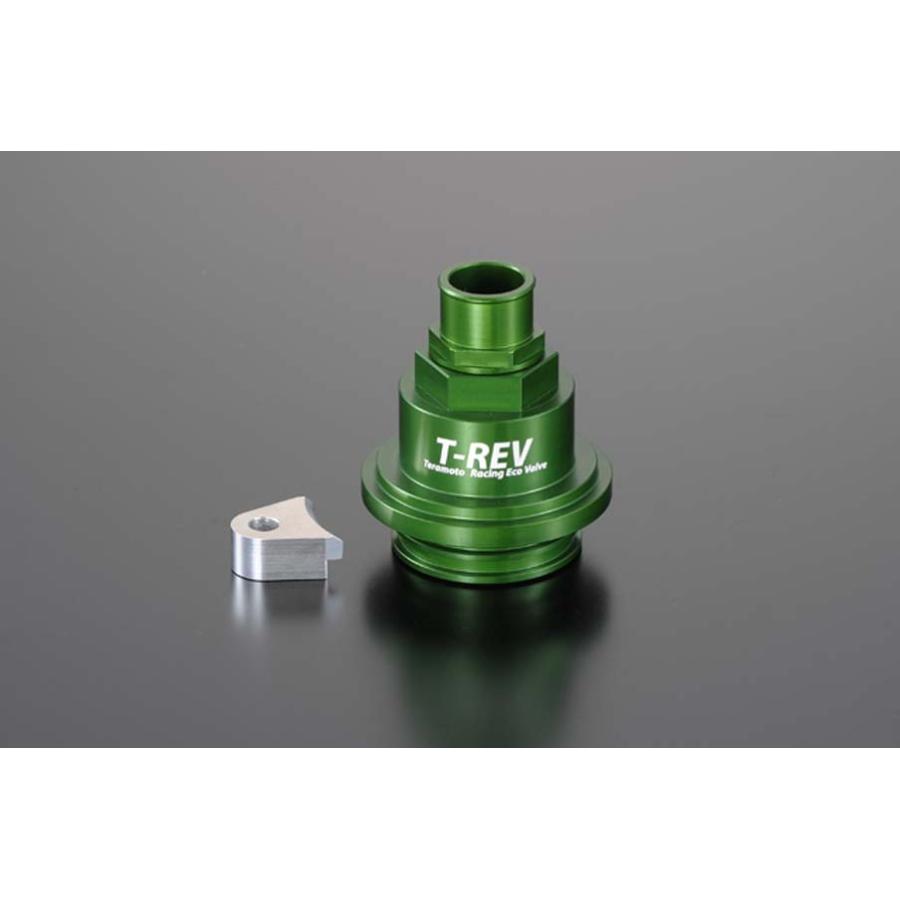 テラモト T-REV 圧入タイプ2 グリーン ドゥカティ 1671