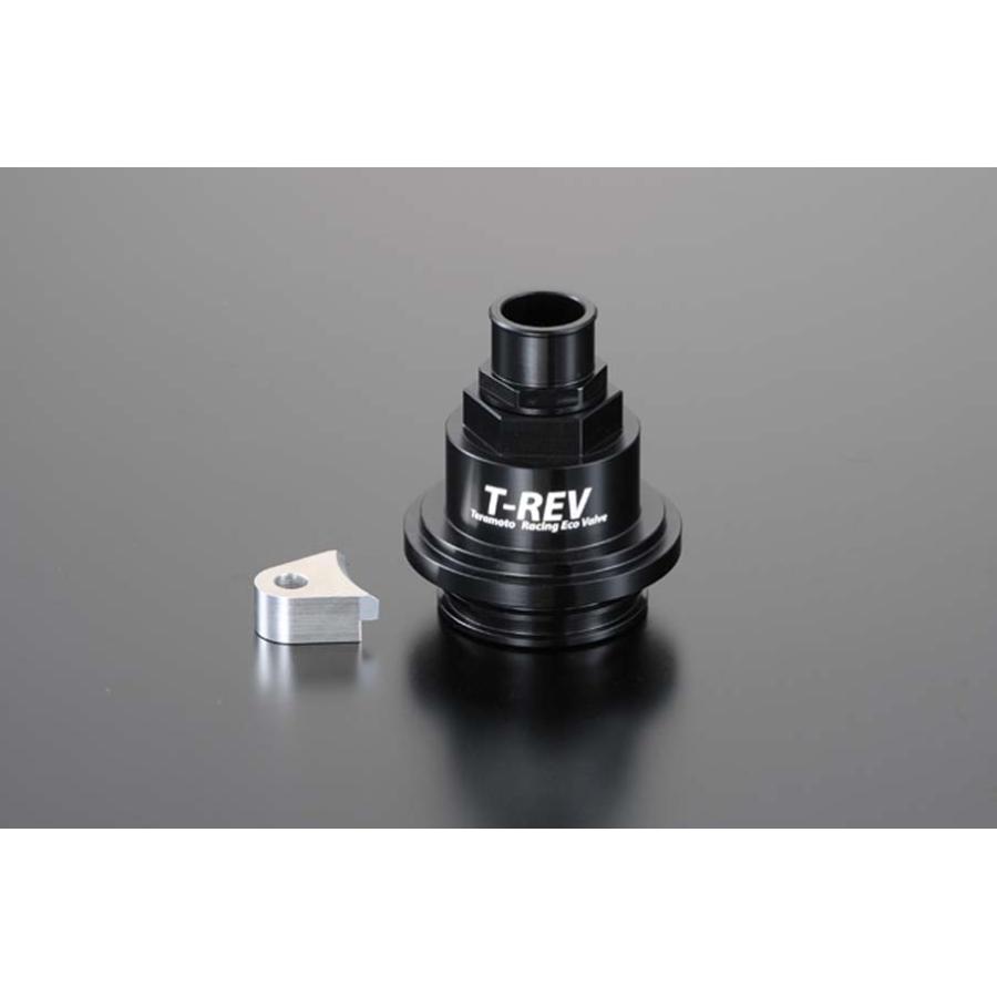 テラモト T-REV 圧入タイプ2 ブラック ドゥカティ 1673