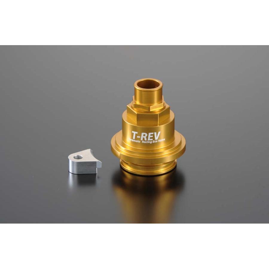 テラモト T-REV 圧入タイプ2 ゴールド ドゥカティ 1675