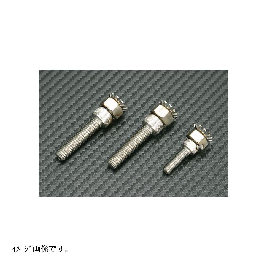 アディオ 除電ボルトナットセット リード125 EBJ-JF45/2BJ-JF45 BK53102