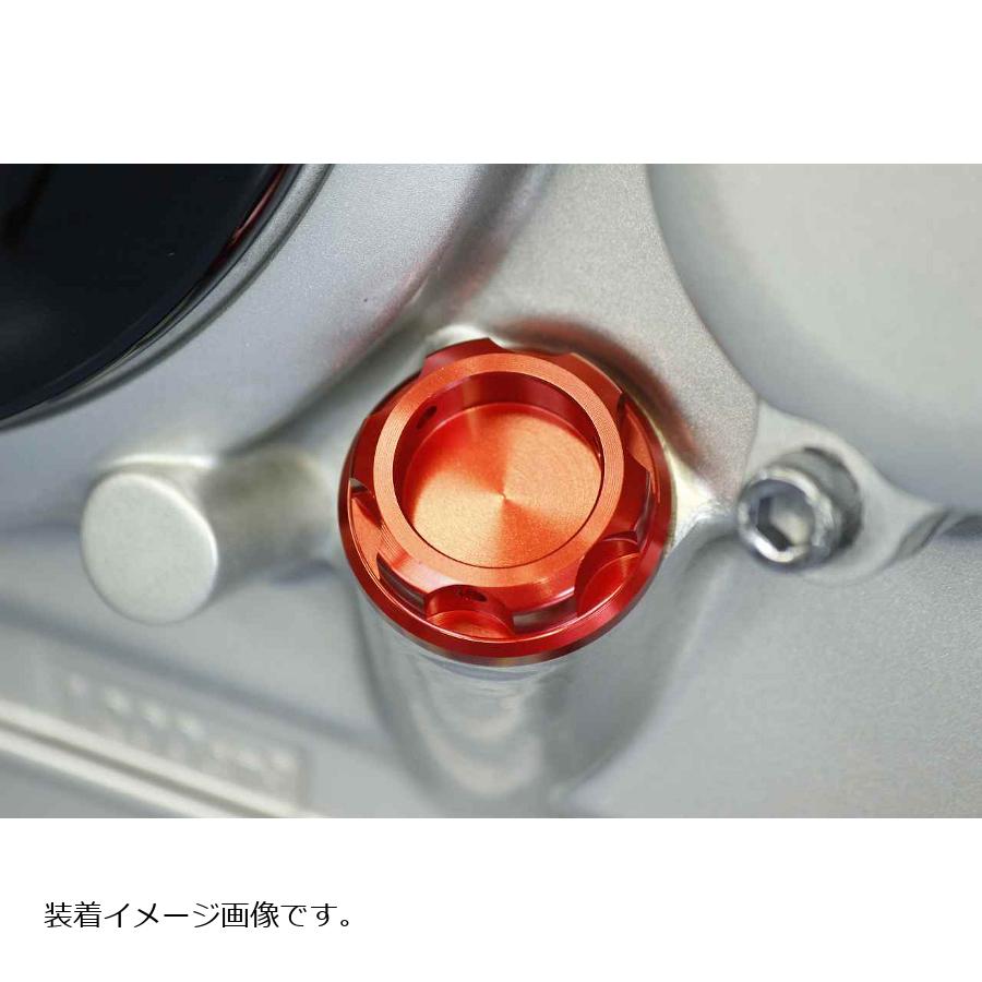 POSH Faith (�ݥå���ե�����) �ޥ���ɥե��顼����å� ��å� M20XP2.5Y 500003-02