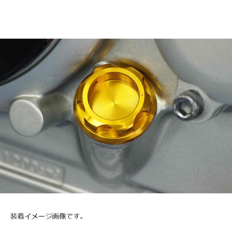 POSH Faith (ポッシュフェイス) マシンドフィラーキャップ ゴールド M24XP2.0 500004-04 2