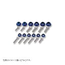 POSH Faith (ポッシュフェイス) NASAタイプCapホルダー シャンパンゴールド GPZ900R 033001-12