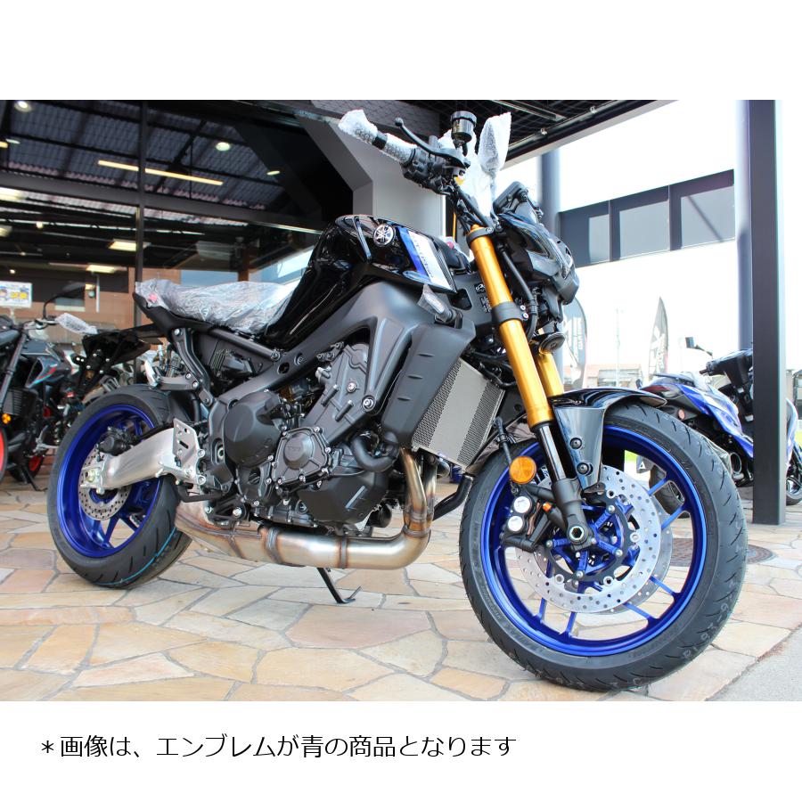 ETCHING FACTORY (���å��󥰥ե����ȥ꡼) �饸���������������� ����֥��� MT09 /TRACER9 GT RGY-MT09-01