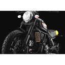 BIKERS (バイカーズ) ステンレス コアガード チタンコート ゴールド ドゥカティ スクランブラー DUCATI SCRAMBLER D0036-GLD