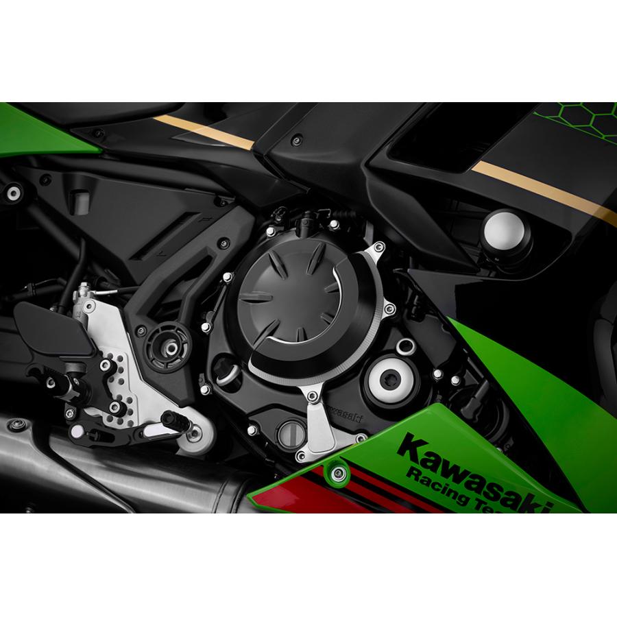 BIKERS (バイカーズ) エンジンガード 右側 シルバー ニンジャ650 Ninja650/Z650 K0382-SLV