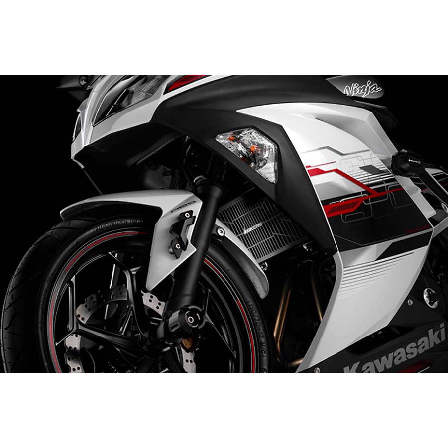 BIKERS (バイカーズ) ステンラジエターガード チタンコート ブラック ニンジャ Ninja250/Z250 K0339-BLK