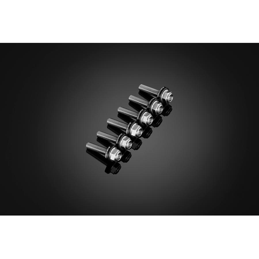 BIKERS (バイカーズ) スクリーン用 ステンレスボルト 6個 ブラック YZF-R15/R125 C0424-BLK