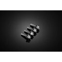 BIKERS (バイカーズ) スクリーン用ステンボルトセット ブラック ADV150 Z900 Z650 X-ADV C0409-BLK