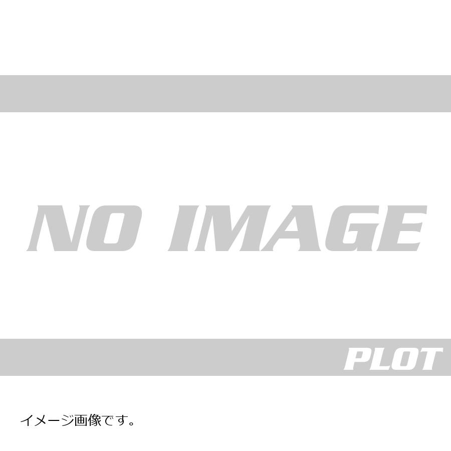 Quad Lock (クアッドロック) MAGワイヤレスチャージングヘッド デスク/カーマウント互換-V2 QLH-MAG-WCH-2 9348943069618