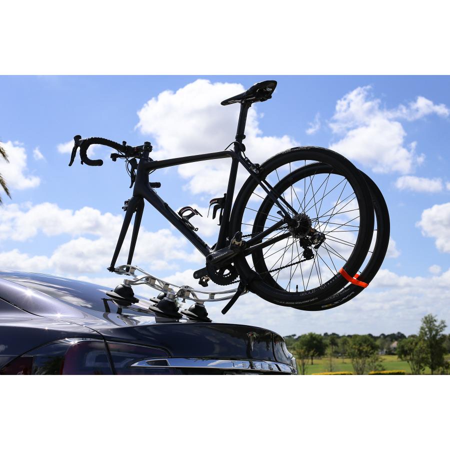 �������å��� Komodo ����� �Х�����å� ����С� ��ž��1���� 17122