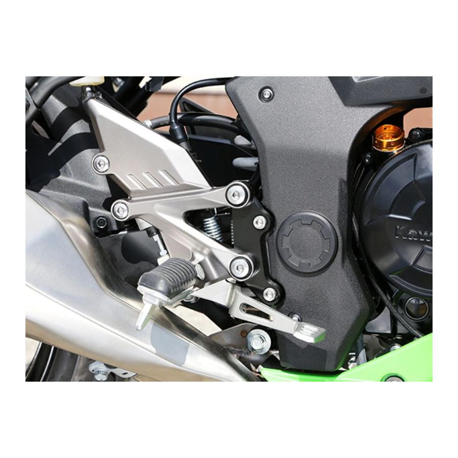 BABYFACE (ベビーフェイス) セットバックプレート ブラック Ninja250SL 002-BK002BK