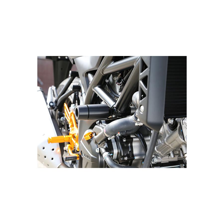 BABYFACE (ベビーフェイス) フレームスライダー SV650 ABS 006-SS022