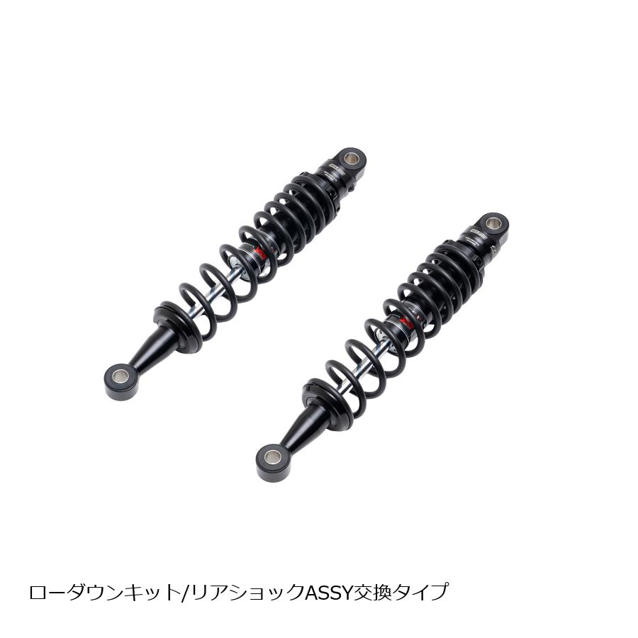 EFFEX (エフェックス) ローダウンキット 約25mmダウン ブラック/ブラック CL250 23 PHA0055D-KK