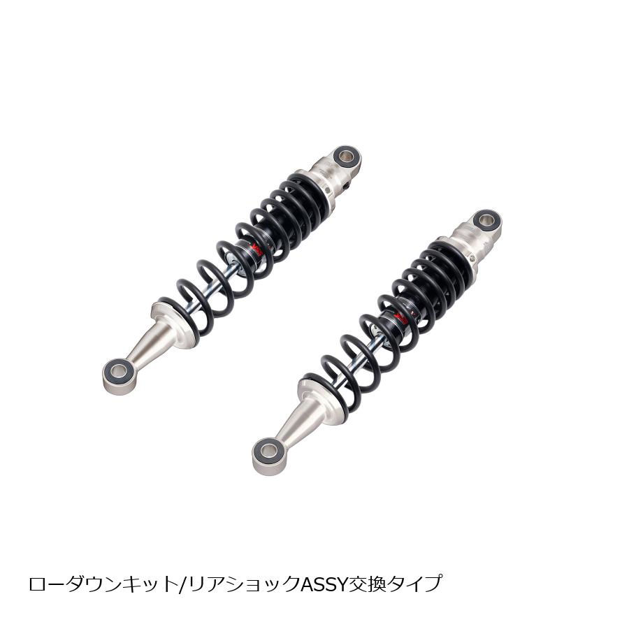 EFFEX (エフェックス) ローダウンキット 約25mmダウン シルバー/ブラック CL250 23 PHA0055D-SK
