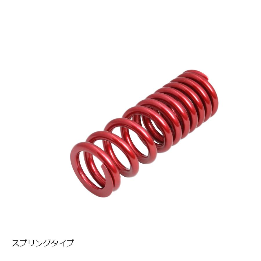 エフェックス ローダウンキット 約15mmダウン LEONCINO 250 21-22 PHAB001D