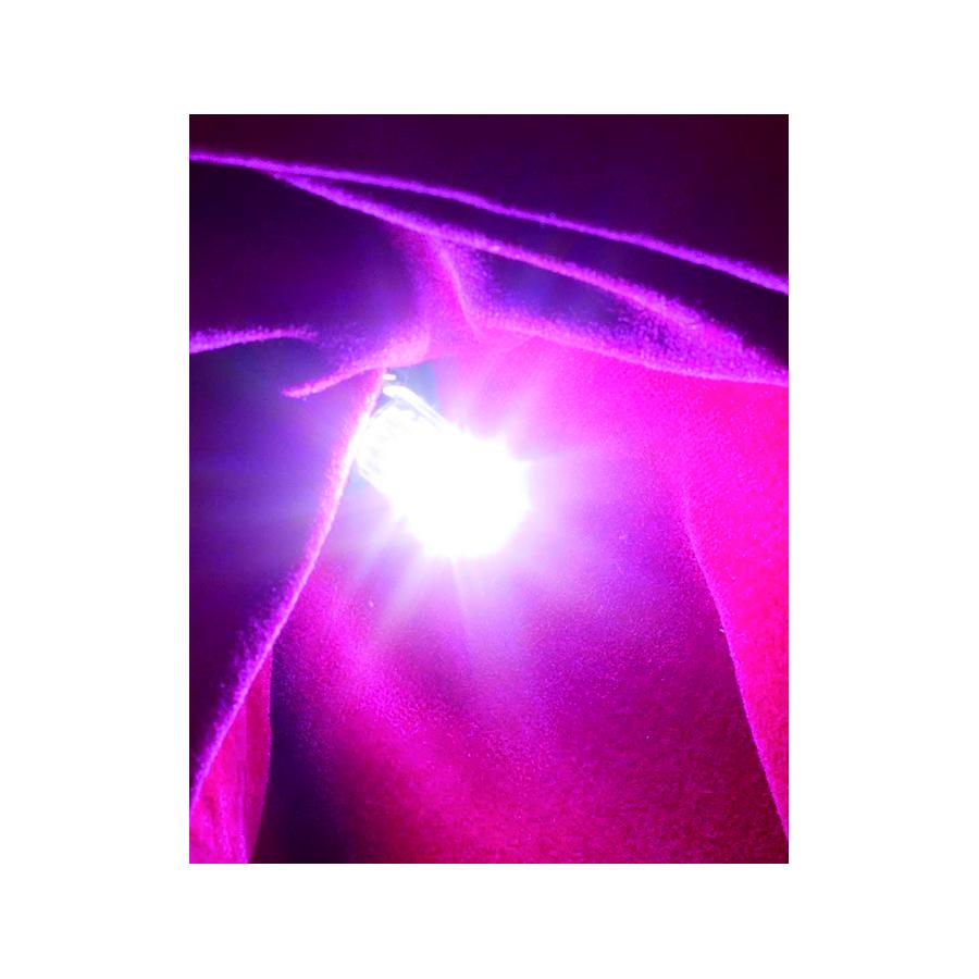 �������ƥ���� T10���󥰥륦���å� �ץ�ߥ���ۥ磻��6000 M02-T10S-60