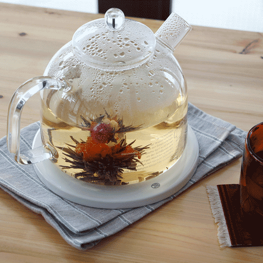 Trendglas-Jenaclassi_1.75gǮ饹ȥ륬ľФǻѲǽ饹ۤ˸ʨƭͻҤϤɤǤʨޤǤλ֤ڤޤƤޤ1.75L뤿äפ̥ݥåȥӥ󥰥ݥåȥå̵եȥץ쥼