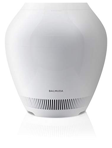 バルミューダ 加湿器 気化式 レイン スタンダードモデル BALMUDA Rain ERN-1100SD-WK