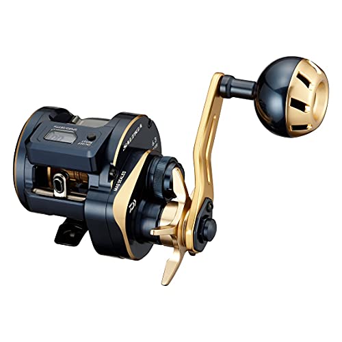 _C(DAIWA) 21 \eBKIC 100L