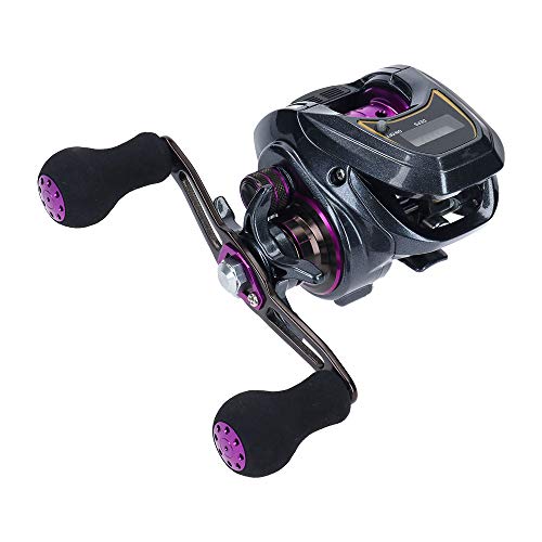 _C(DAIWA) LIGHT SW X IC R JE^[txCg[