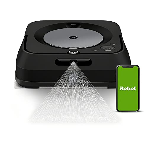 アイロボット(IRobot) ブ