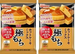 日清 ホットケーキミックス 極もち 国内麦 小麦粉 100% 使用 480g ×2個 送料無料