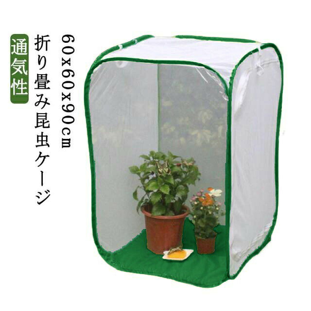 【折り畳み昆虫ケージ】 【通気性】 【60x60x90cm】通気性と耐久性に優れた高品質のポリエステルメッシュ生地を使用しています。また、ケージに蝶やビーズを引っ張るだけでなく、蝶や蜂蜜の生息地としても利用できます。多くの蝶を収納することができ、良好な通気性があり、白いガーゼネットで蝶などの昆虫の観察にとても便利です。子供に扱いやすい。折り畳み式なので持ち運びもラクラク、邪魔になりません。家庭で虫を育てるだけでなく、幼稚園や小学校での野外実験にも適しています。 サイズ 60x60x90cm サイズについての説明 60x60x90cm ※サイズ計測には誤差が生じます。 素材 アクリロニトリルブタジエンスチレン（ABS） 色 グリーン 備考 ●サイズ詳細等の測り方はスタッフ間で統一、徹底はしておりますが、実寸は商品によって若干の誤差(1cm～3cm )がある場合がございますので、予めご了承ください。 ●製造ロットにより、細部形状の違いや、同色でも色味に多少の誤差が生じます。 ●パッケージは改良のため予告なく仕様を変更する場合があります。 ▼商品の色は、撮影時の光や、お客様のモニターの色具合などにより、実際の商品と異なる場合がございます。あらかじめ、ご了承ください。 ▼生地の特性上、やや匂いが強く感じられるものもございます。数日のご使用や陰干しなどで気になる匂いはほとんど感じられなくなります。 ▼同じ商品でも生産時期により形やサイズ、カラーに多少の誤差が生じる場合もございます。 ▼他店舗でも在庫を共有して販売をしている為、受注後欠品となる場合もございます。予め、ご了承お願い申し上げます。 ▼出荷前に全て検品を行っておりますが、万が一商品に不具合があった場合は、お問い合わせフォームまたはメールよりご連絡頂けます様お願い申し上げます。速やかに対応致しますのでご安心ください。