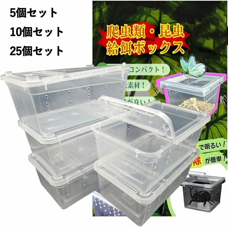 昆虫飼育ケース 小型 コンテナ ボックス 空気穴付き 11cm 19cm 昆虫 小動物・卵 幼虫 繁殖